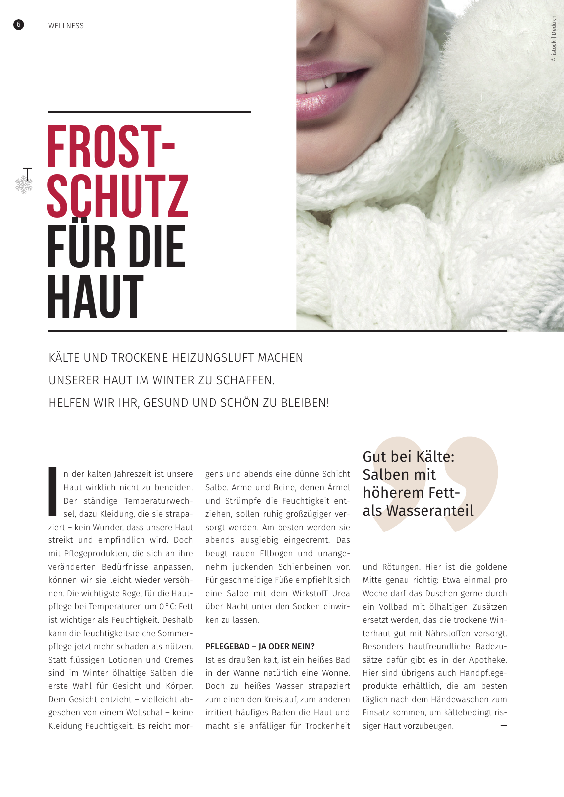 Vorschau Hofstaetter-Apotheke: Lebenselexier Winter 2015 Seite 6