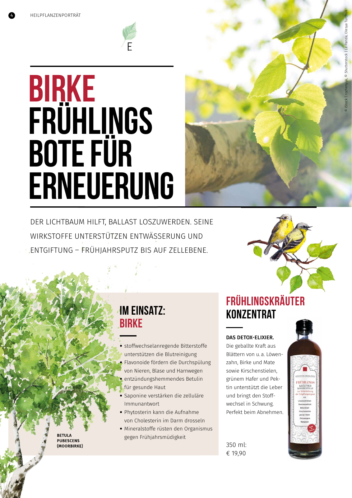 Vorschau Hofstaetter-Apotheke Lebenselixier Frühling 2020 Seite 4