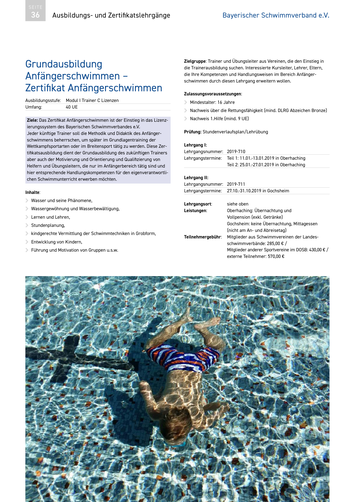 Vorschau Lehrgänge 2019 // Akademie des Schwimmsports Seite 36