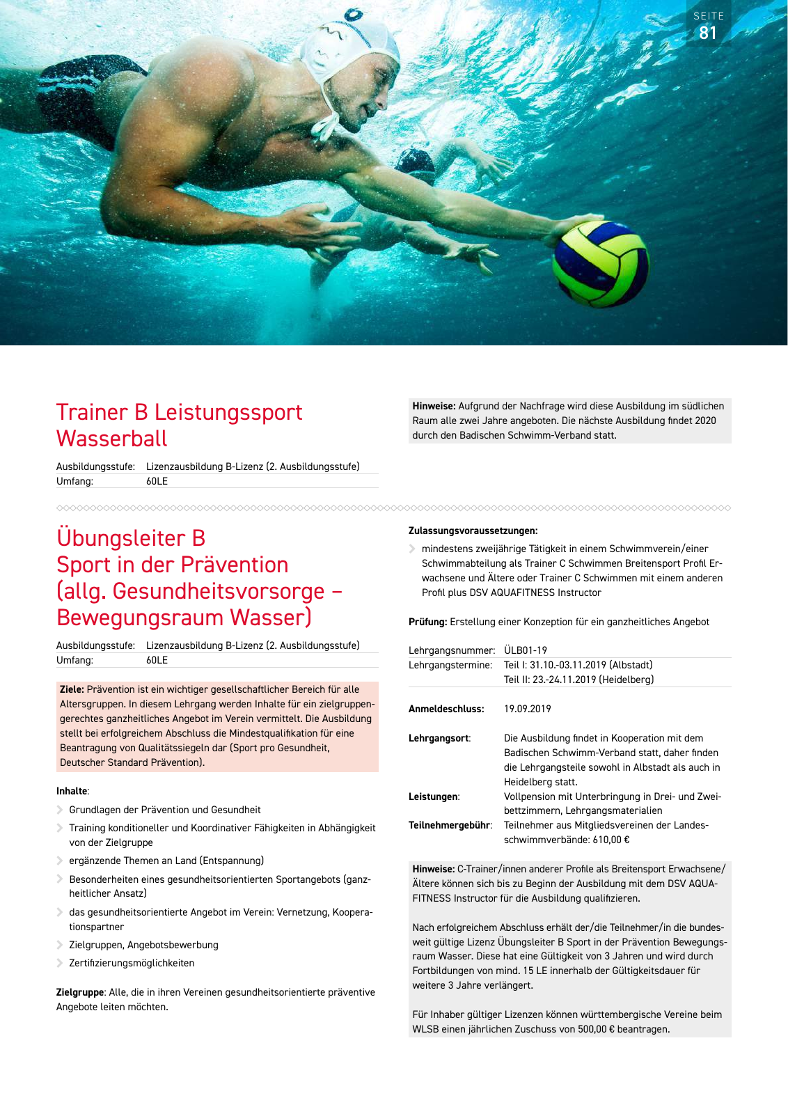 Vorschau Lehrgänge 2019 // Akademie des Schwimmsports Seite 81