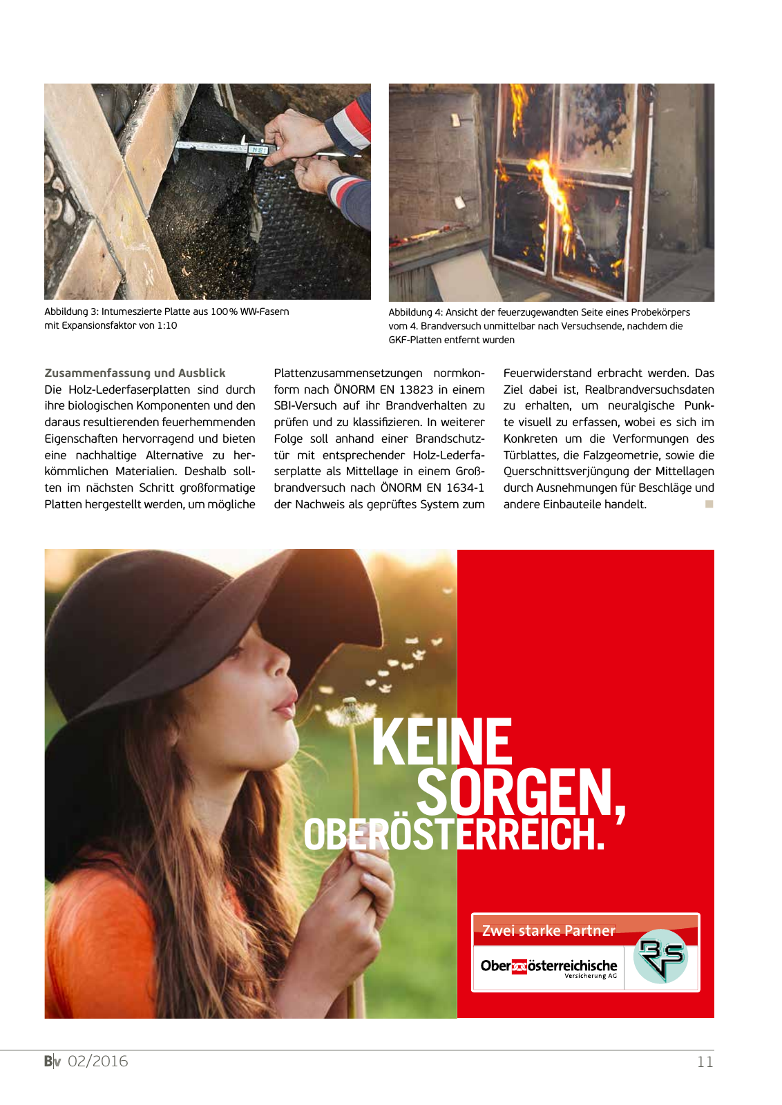 Vorschau BVS_Magazin Seite 11