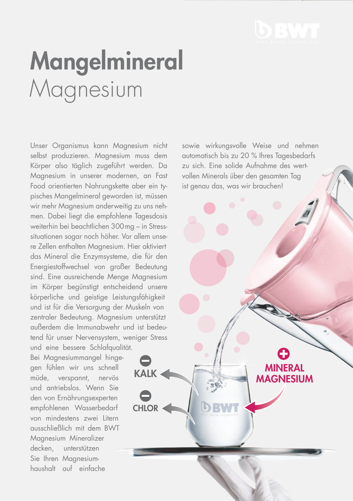 Vorschau Magnesium Smoothies Seite 5