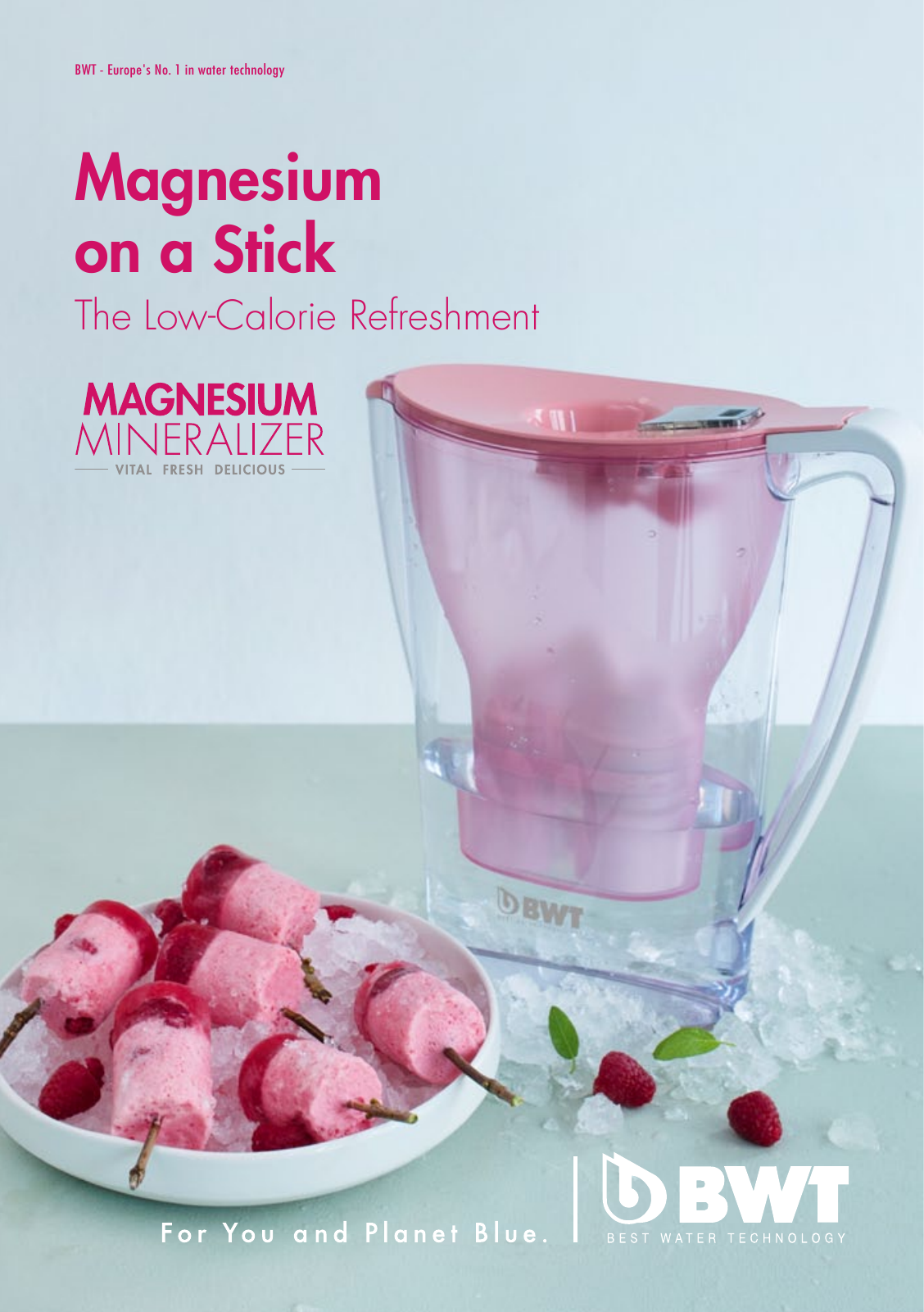 Vorschau Magnesium on a stick Seite 1