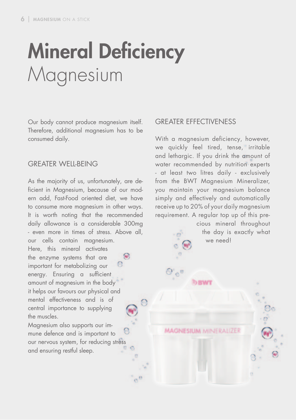 Vorschau Magnesium on a stick Seite 6