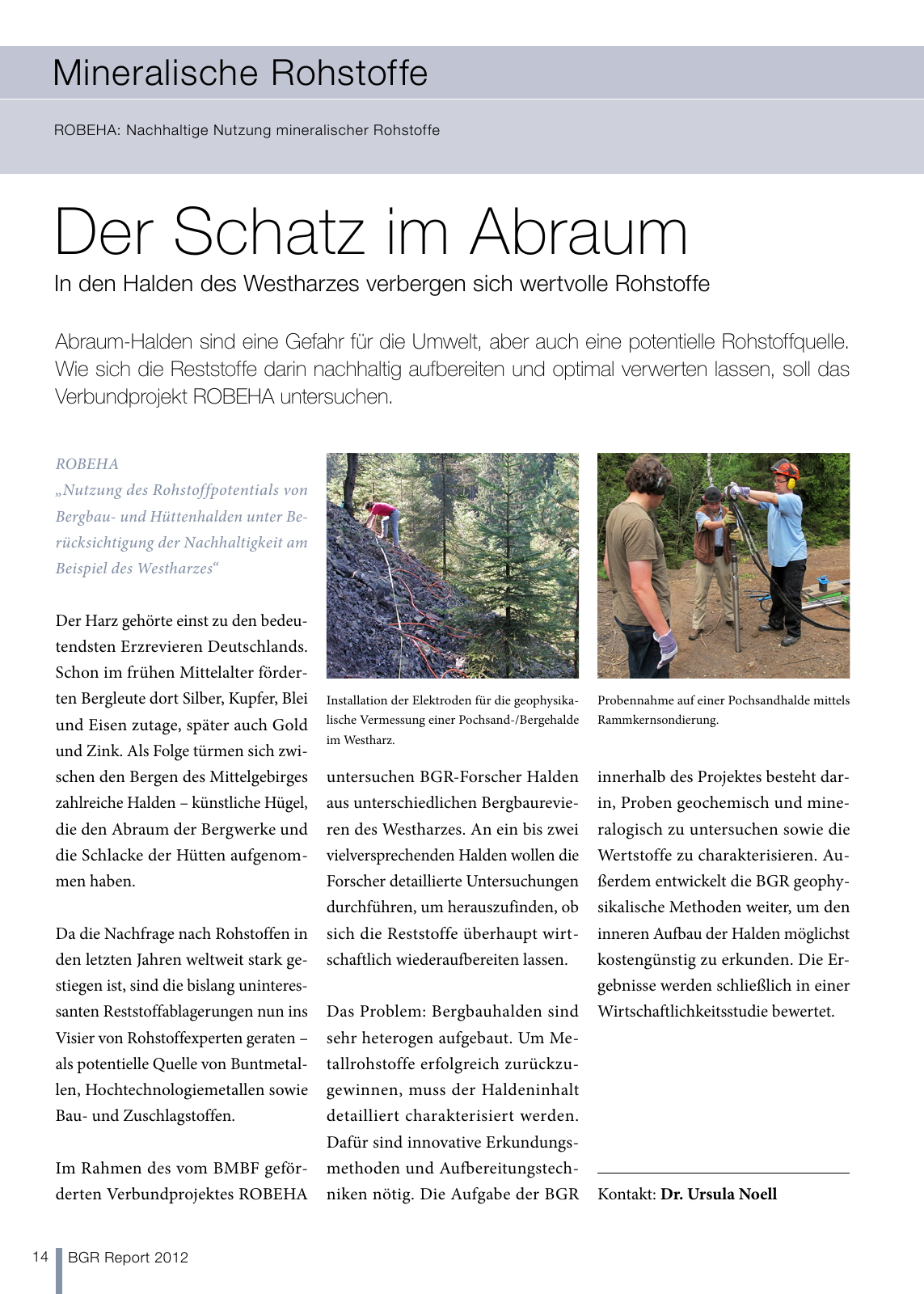 Vorschau BGR Report 2013 Seite 14