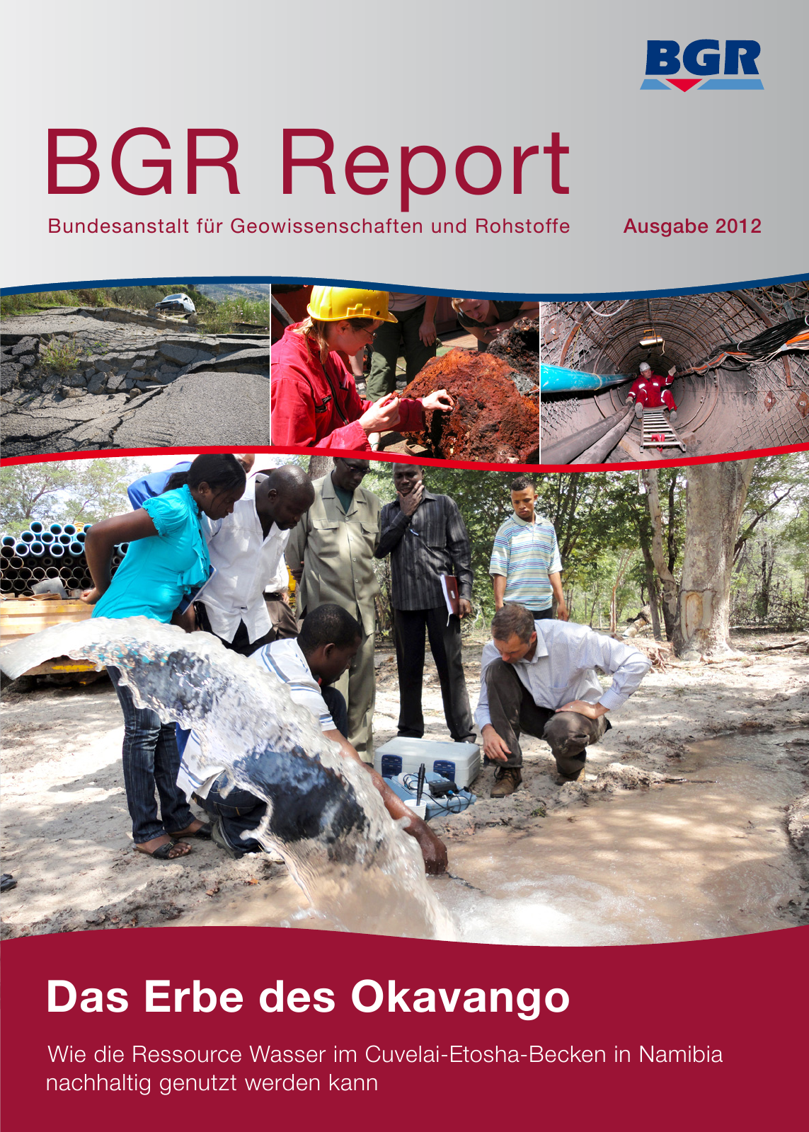 Vorschau BGR Report 2013 Seite 1