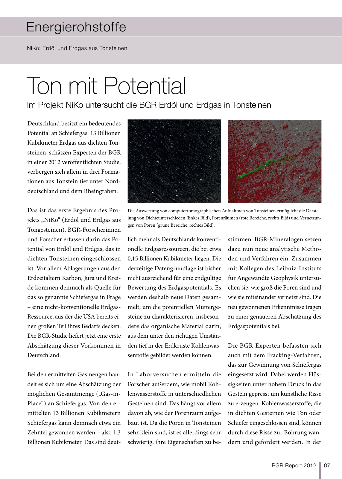 Vorschau BGR Report 2013 Seite 7