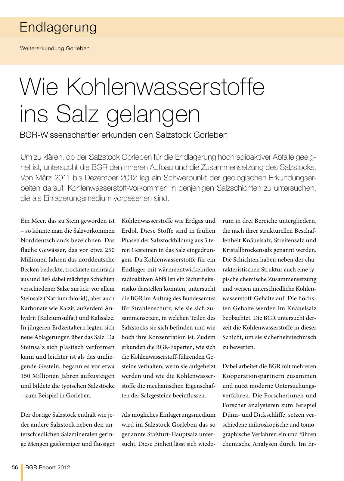 Vorschau BGR Report 2013 Seite 56