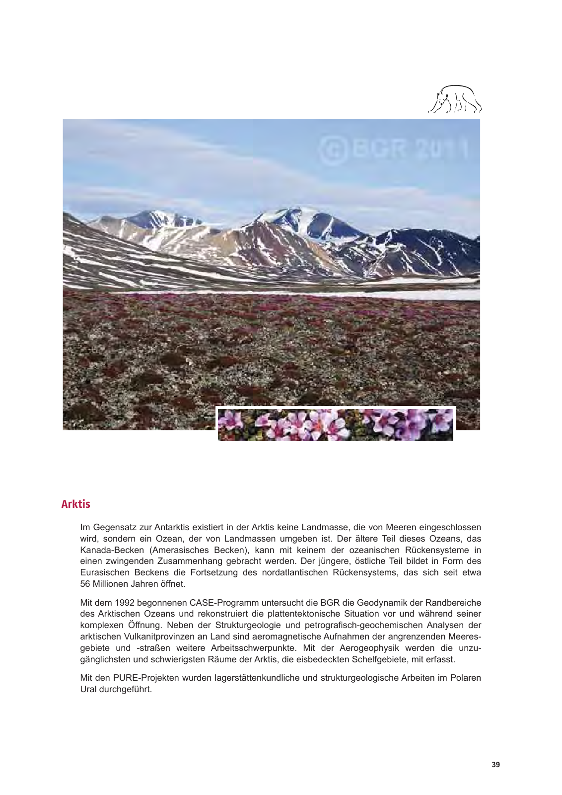 Vorschau Polarforschung BGR Seite 41