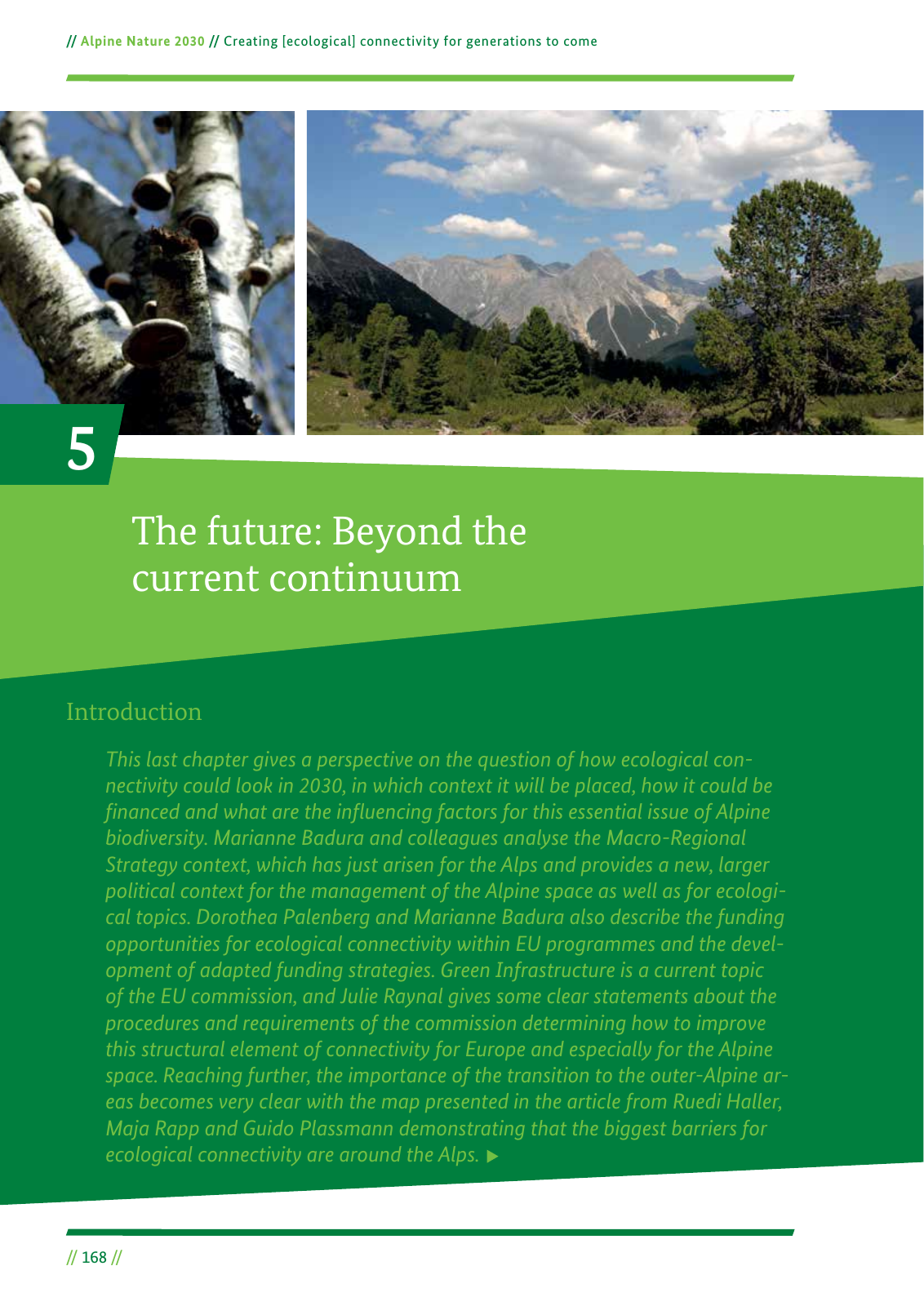 Vorschau Alpine Nature 2030 Seite 168