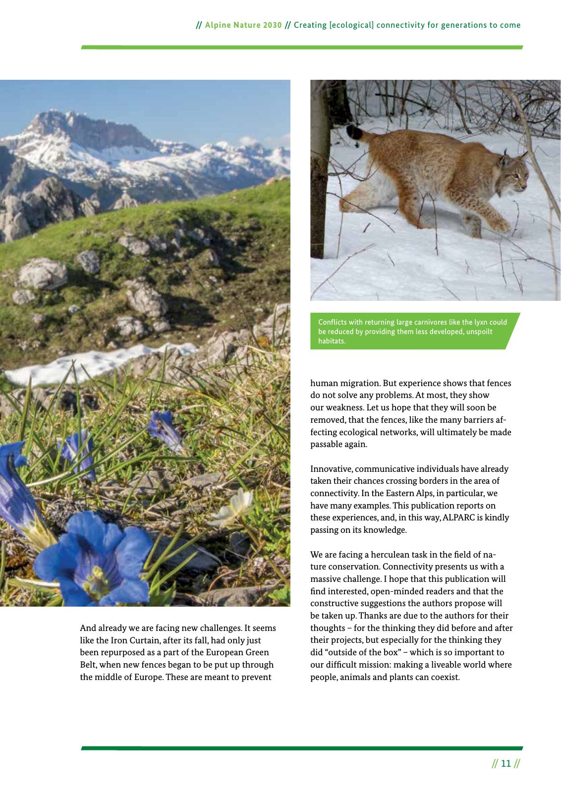 Vorschau Alpine Nature 2030 Seite 11