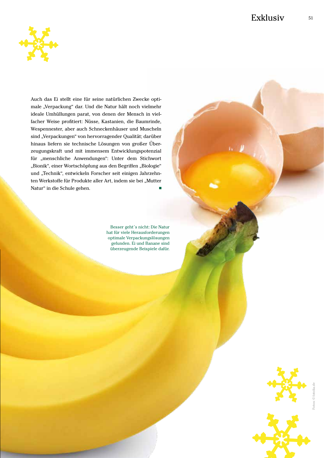 Vorschau ESSpertise  04/18 Seite 51