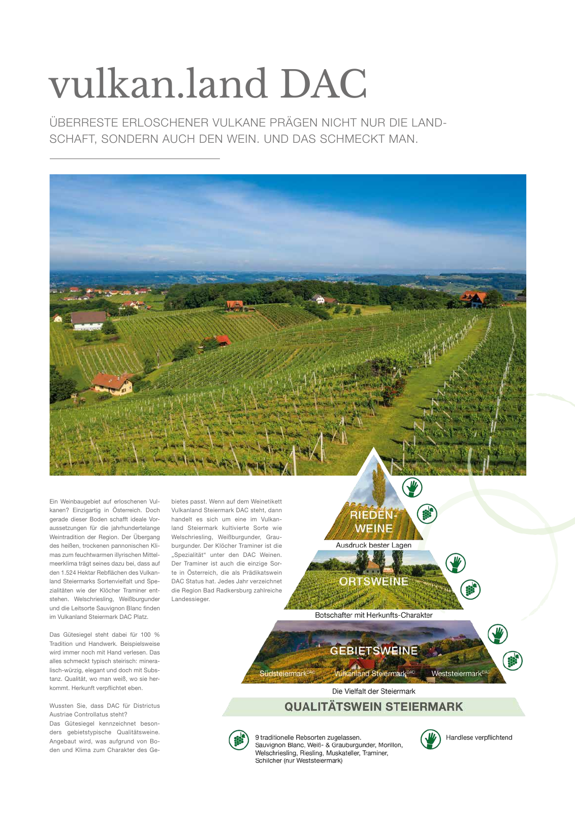 Vorschau Weinzeitung Seite 7