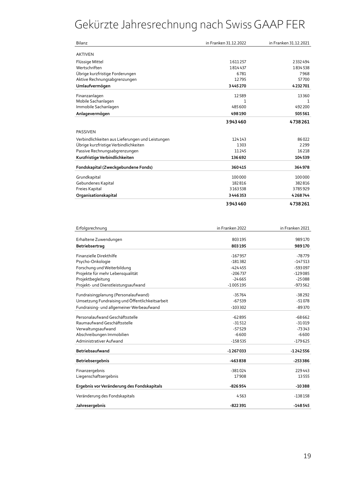 Vorschau Jahresbericht 2022 Seite 19