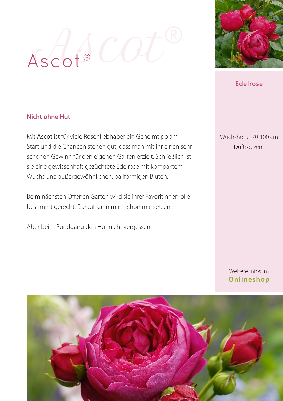 Vorschau RT lookbook 2019 DE Seite 67