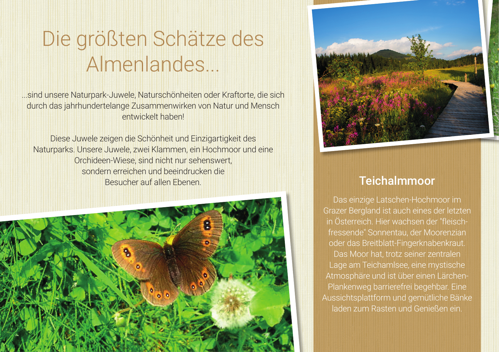 Vorschau Imagefolder Naturpark Almenland Seite 6