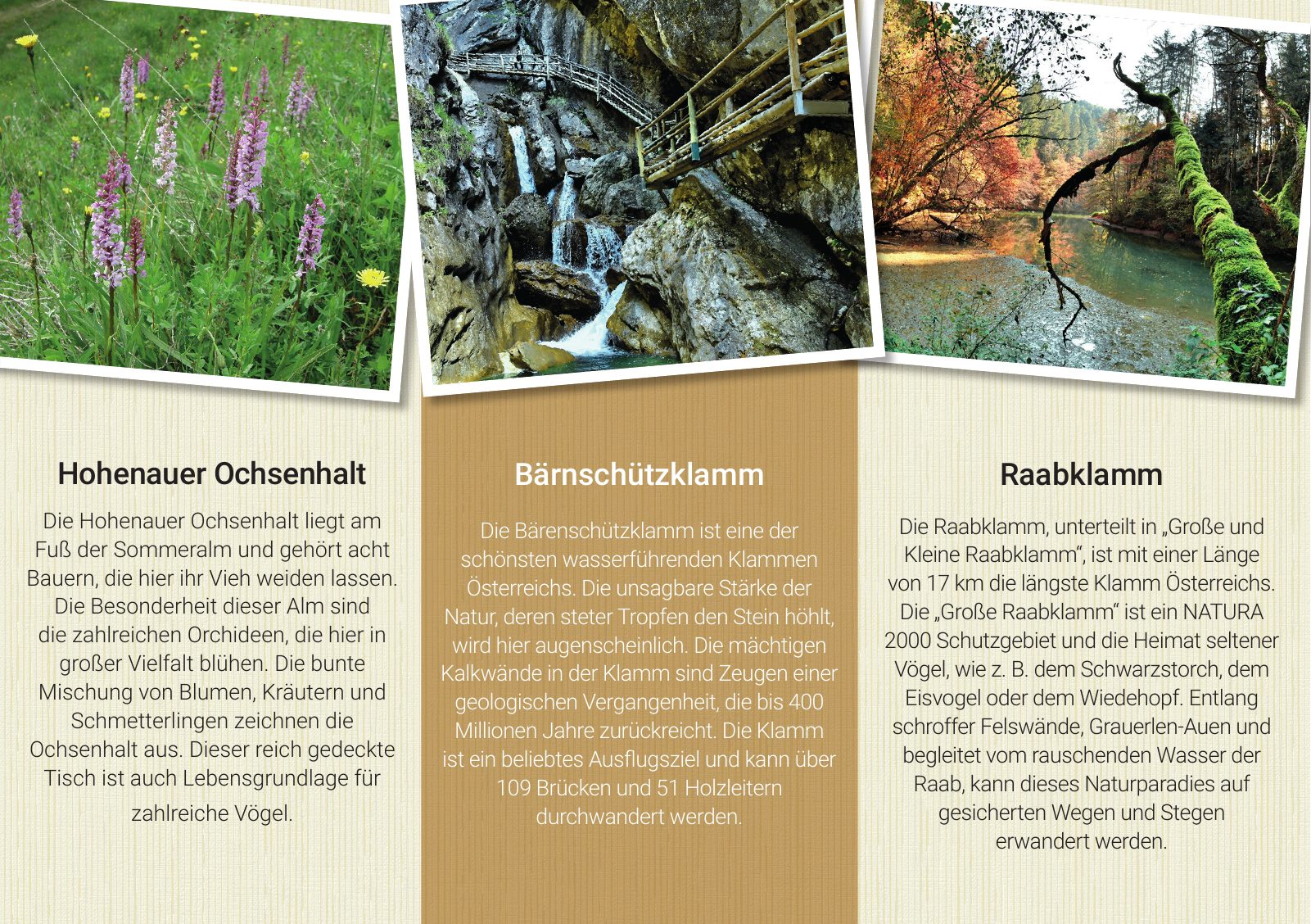 Vorschau Imagefolder Naturpark Almenland Seite 7