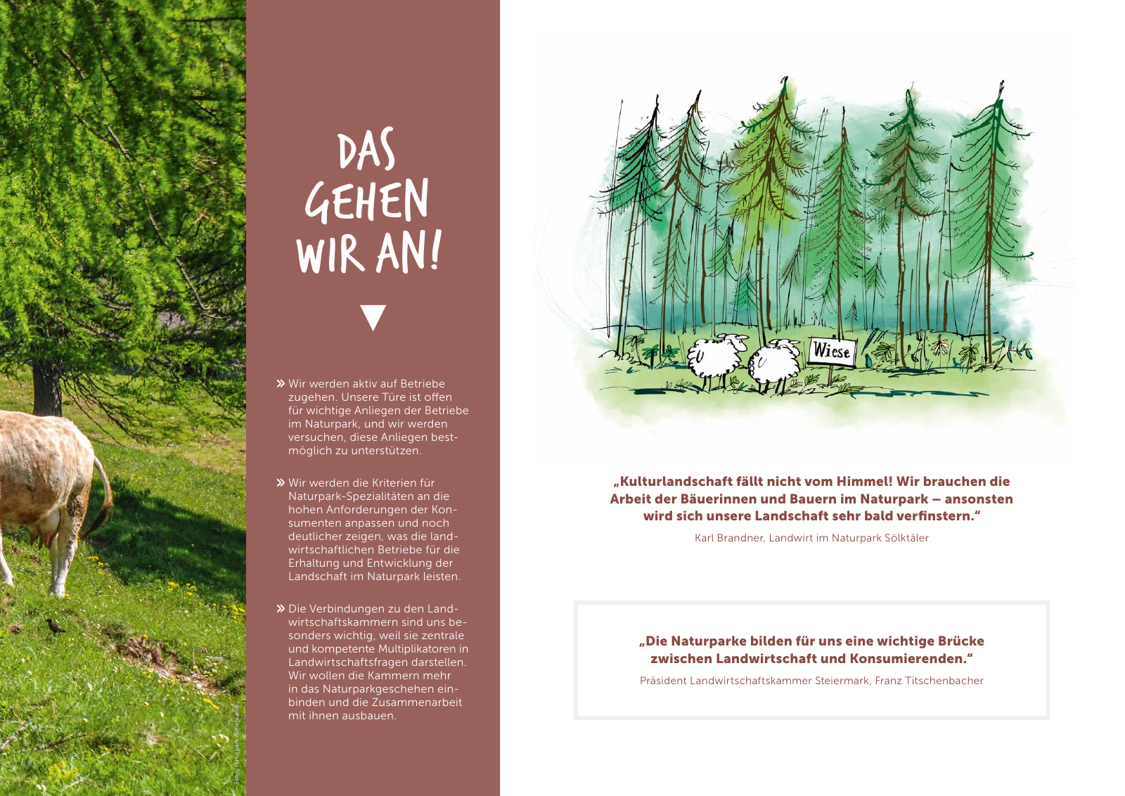 Vorschau Naturpark Strategie 2025 Seite 13