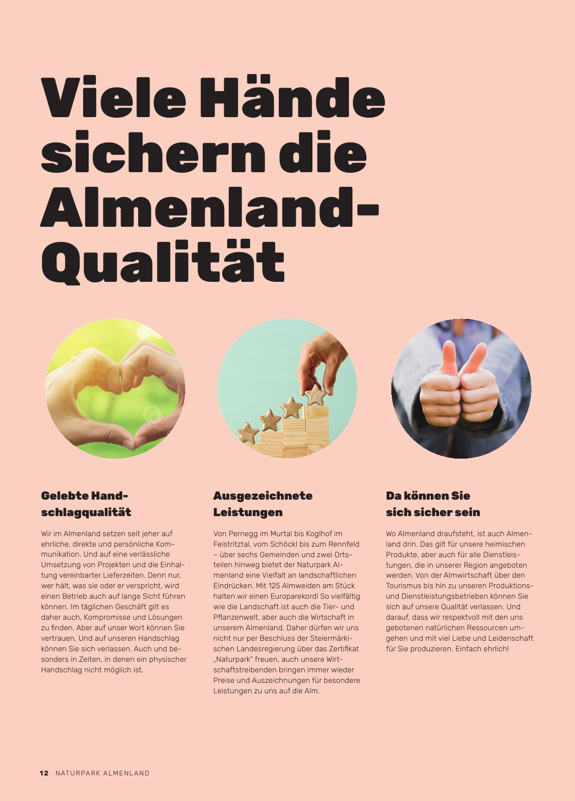 Vorschau Almenland Magazin Seite 12