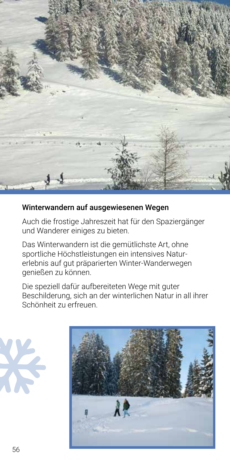 Vorschau Winterfolder 2021/2022 Seite 56