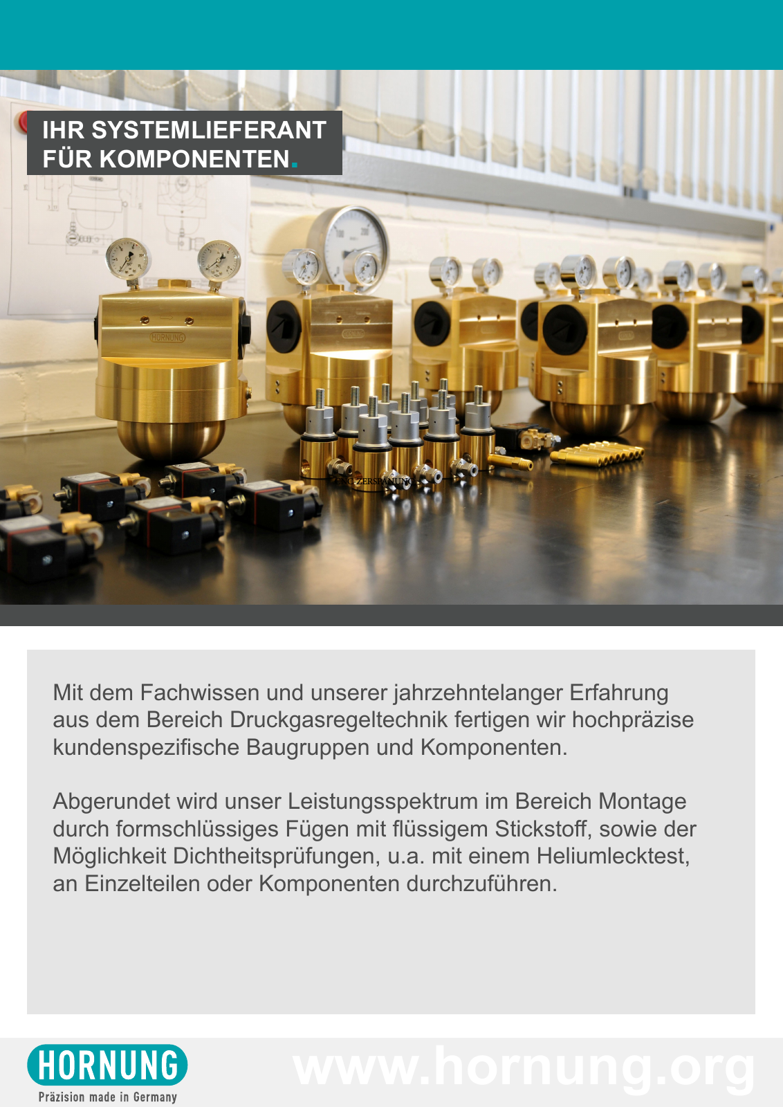 Vorschau Ihre Systemlieferant für Komponenten - Hornung GmbH Seite 13