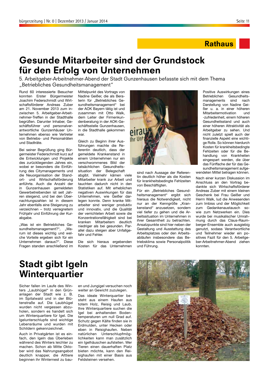 Vorschau bürgerzeitung Nr. 0 Dezember 2013 Januar 2014 Seite 11