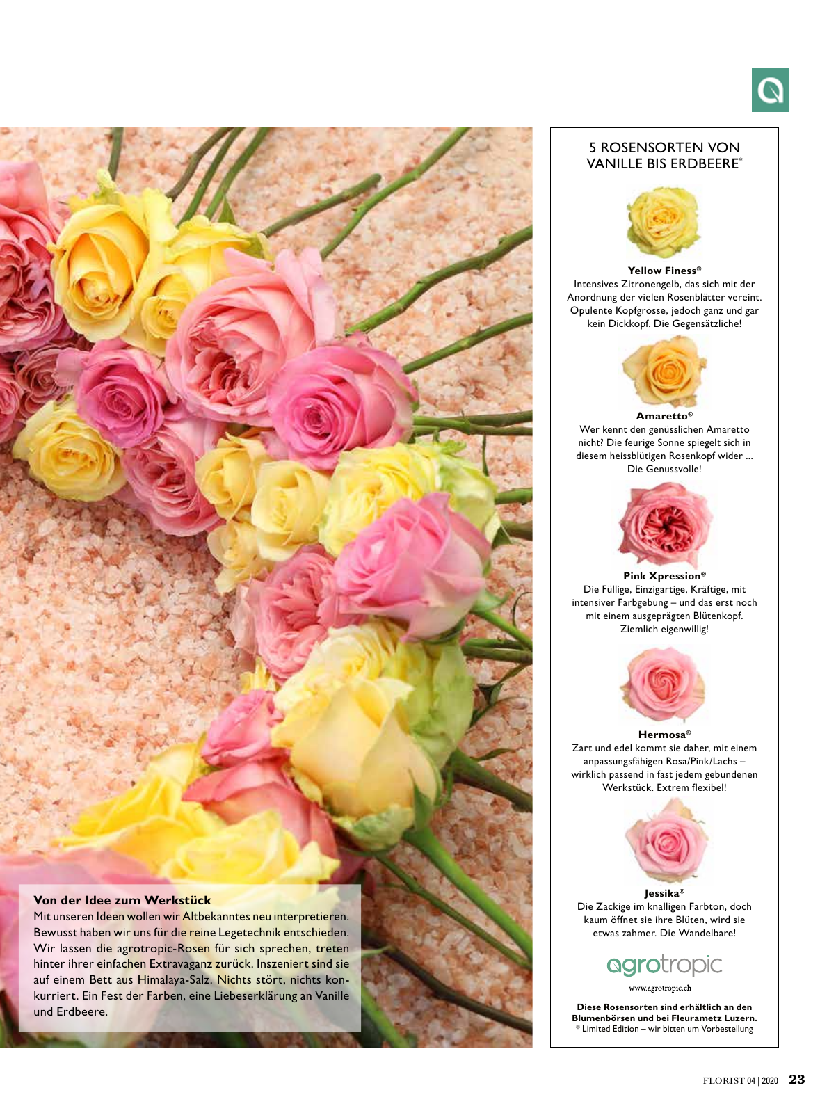 Vorschau Florist - Ausgabe April 2020 Seite 21