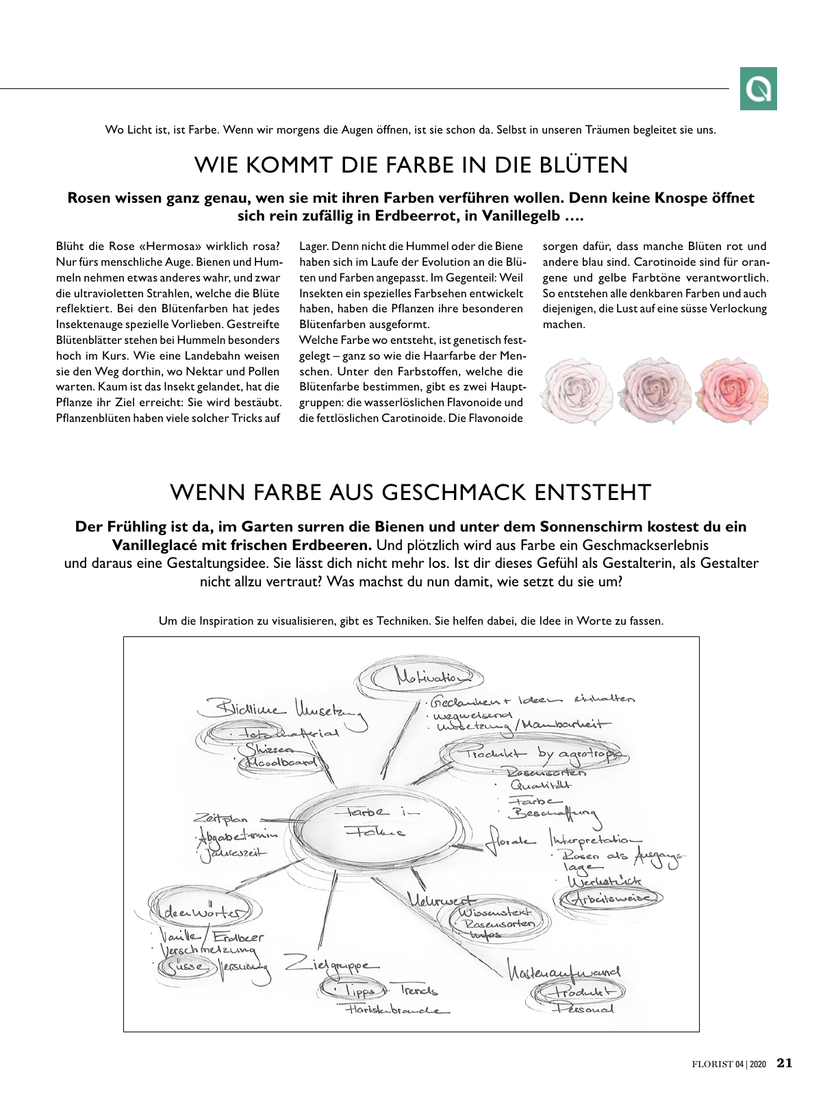 Vorschau Florist - Ausgabe April 2020 Seite 19