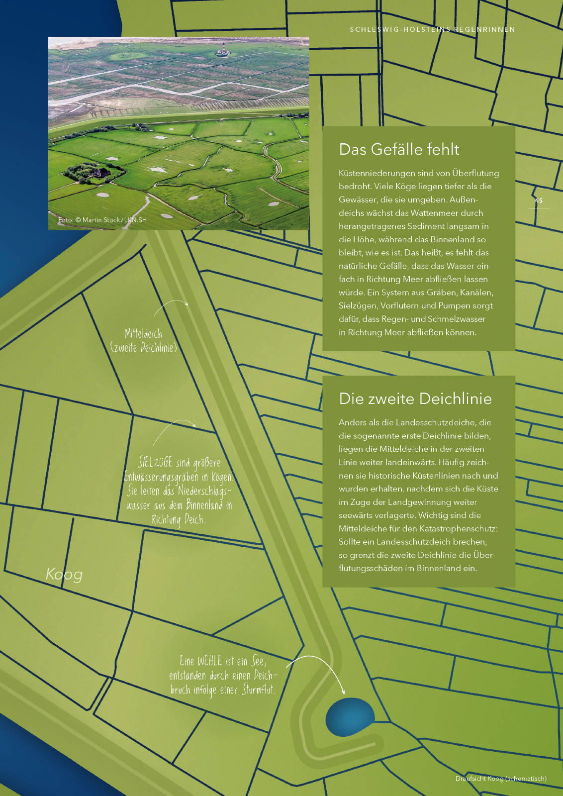 Vorschau Küstenschutz in Schleswig-Holstein Seite 45