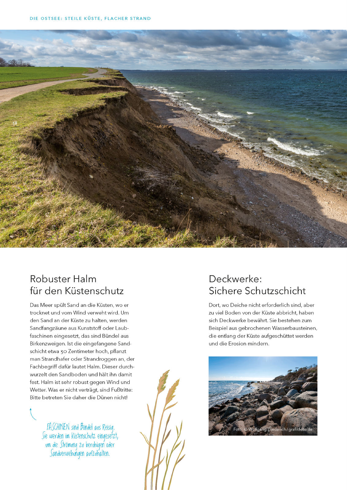 Vorschau Küstenschutz in Schleswig-Holstein Seite 58