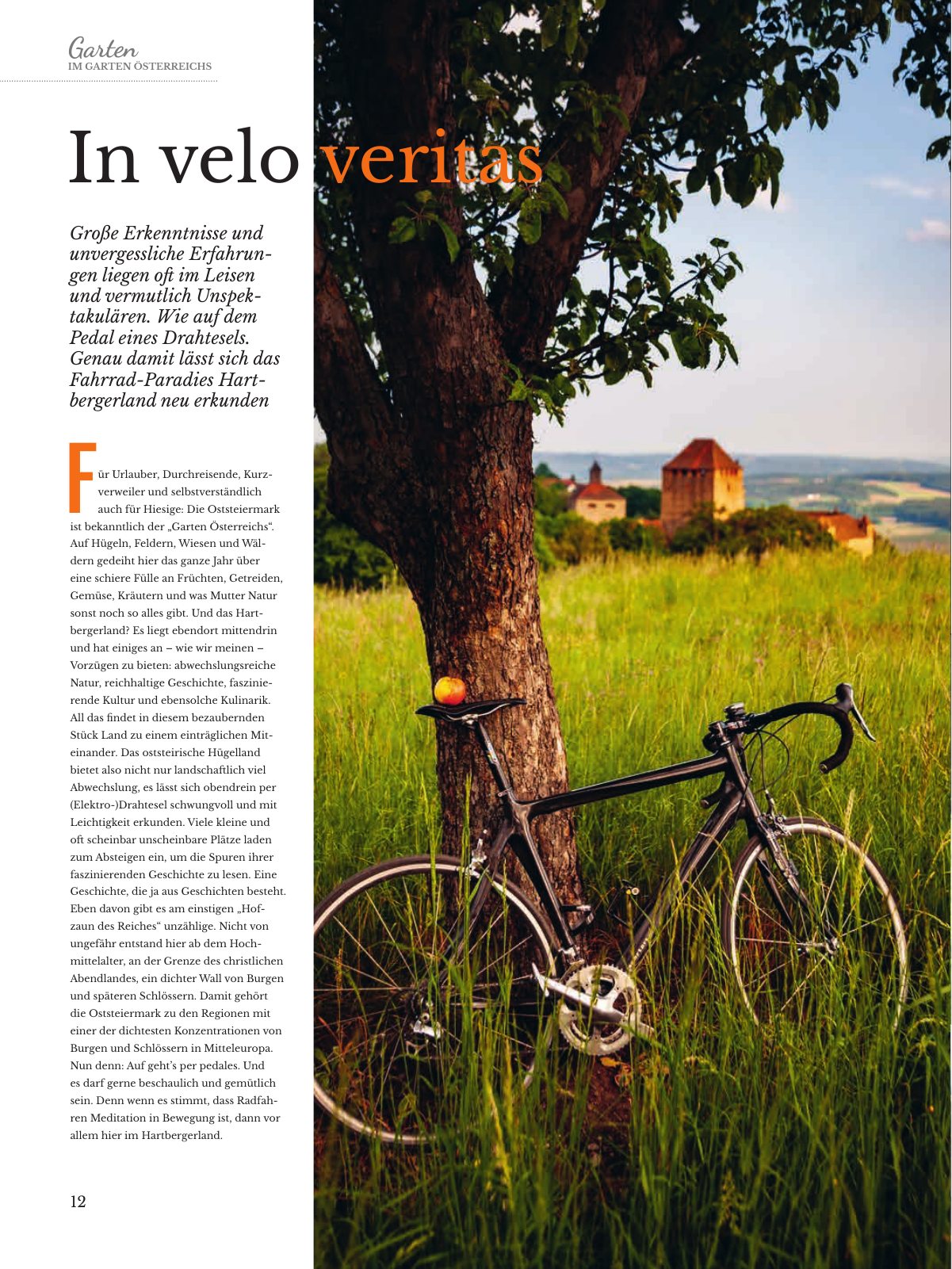 Vorschau Hartbergerland Magazin Seite 12