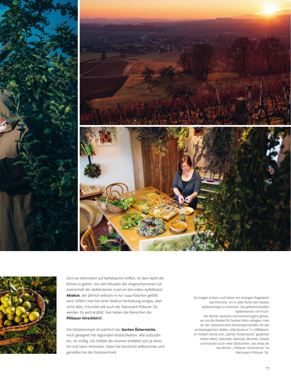 Vorschau Wintermagazin Oststeiermark Seite 17