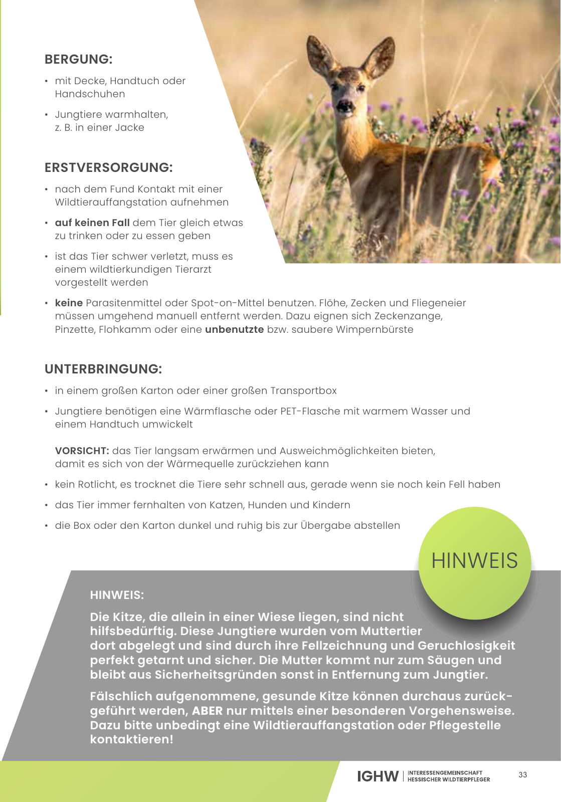 Vorschau IGHW - Interessengemeinschaft Hessischer Wildtierpfleger Seite 33