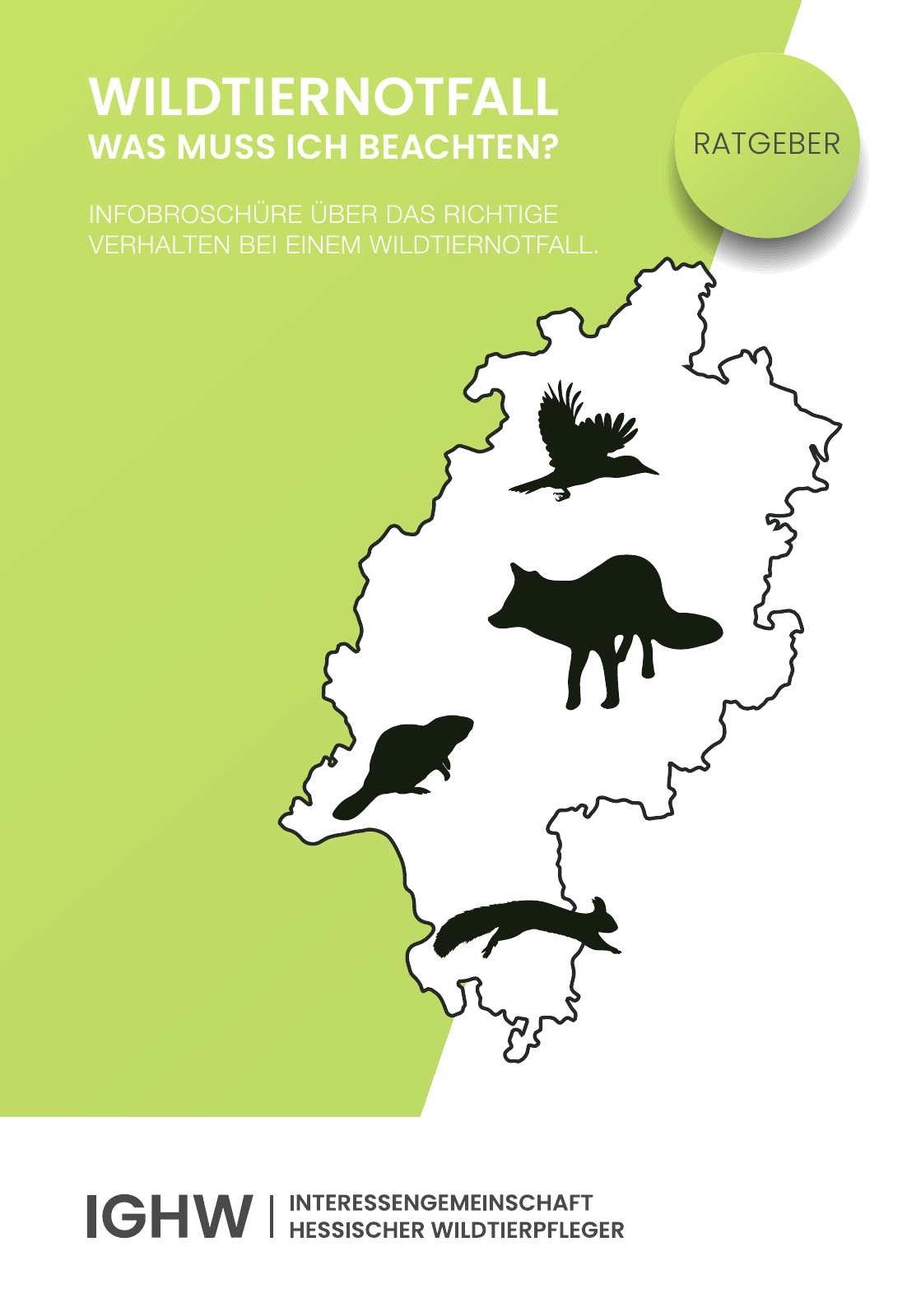 Vorschau IGHW - Interessengemeinschaft Hessischer Wildtierpfleger Seite 1