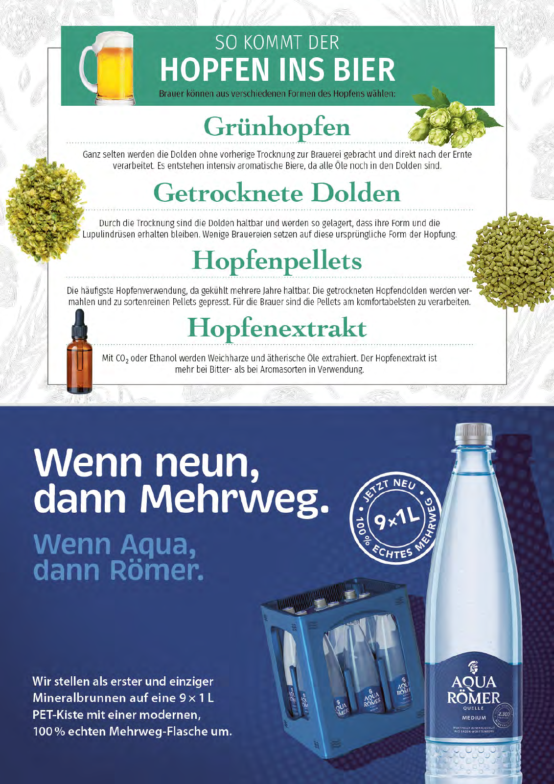 Vorschau GEFAKO Durstquelle 01/2023 Seite 13