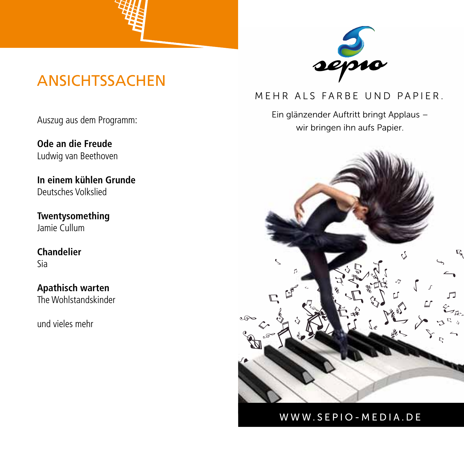 Vorschau E-Paper Festival a cappella 2015 Seite 47