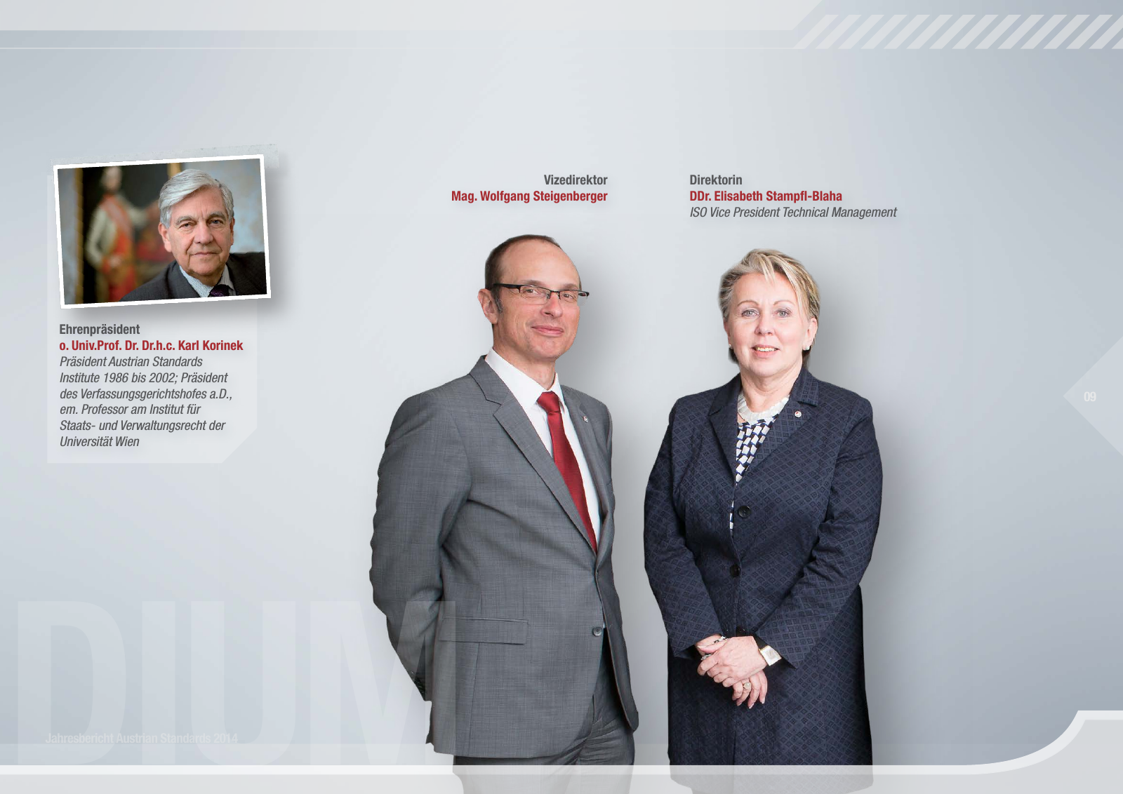 Vorschau Austrian Standards Jahresbericht 2014 Seite 9