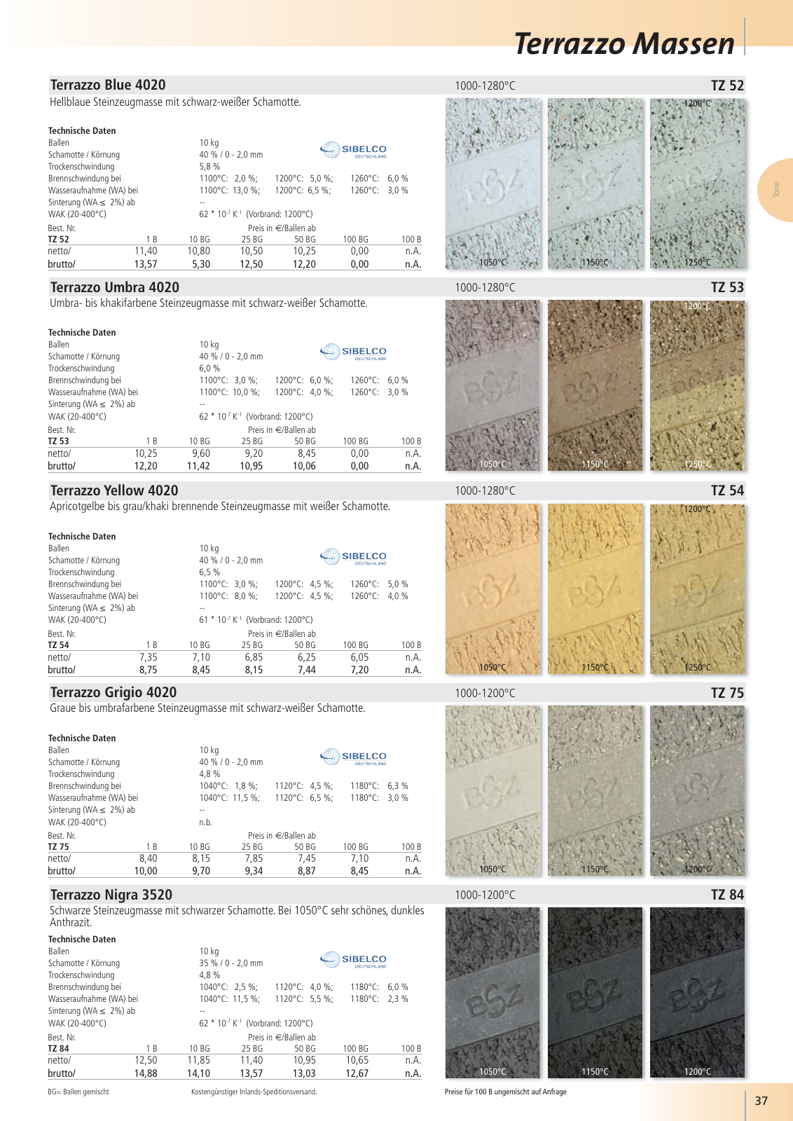 Vorschau BSZ Gesamtkatalog 2020 Seite 37