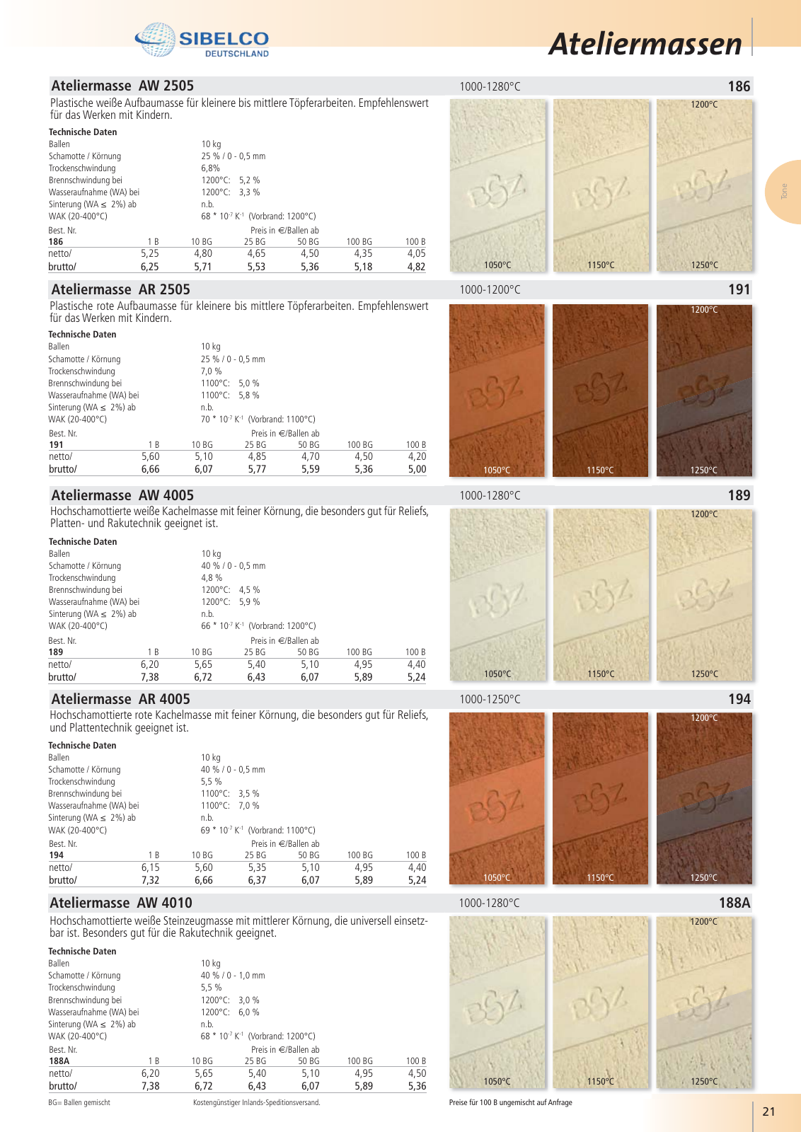 Vorschau BSZ Gesamtkatalog 2020 Seite 21