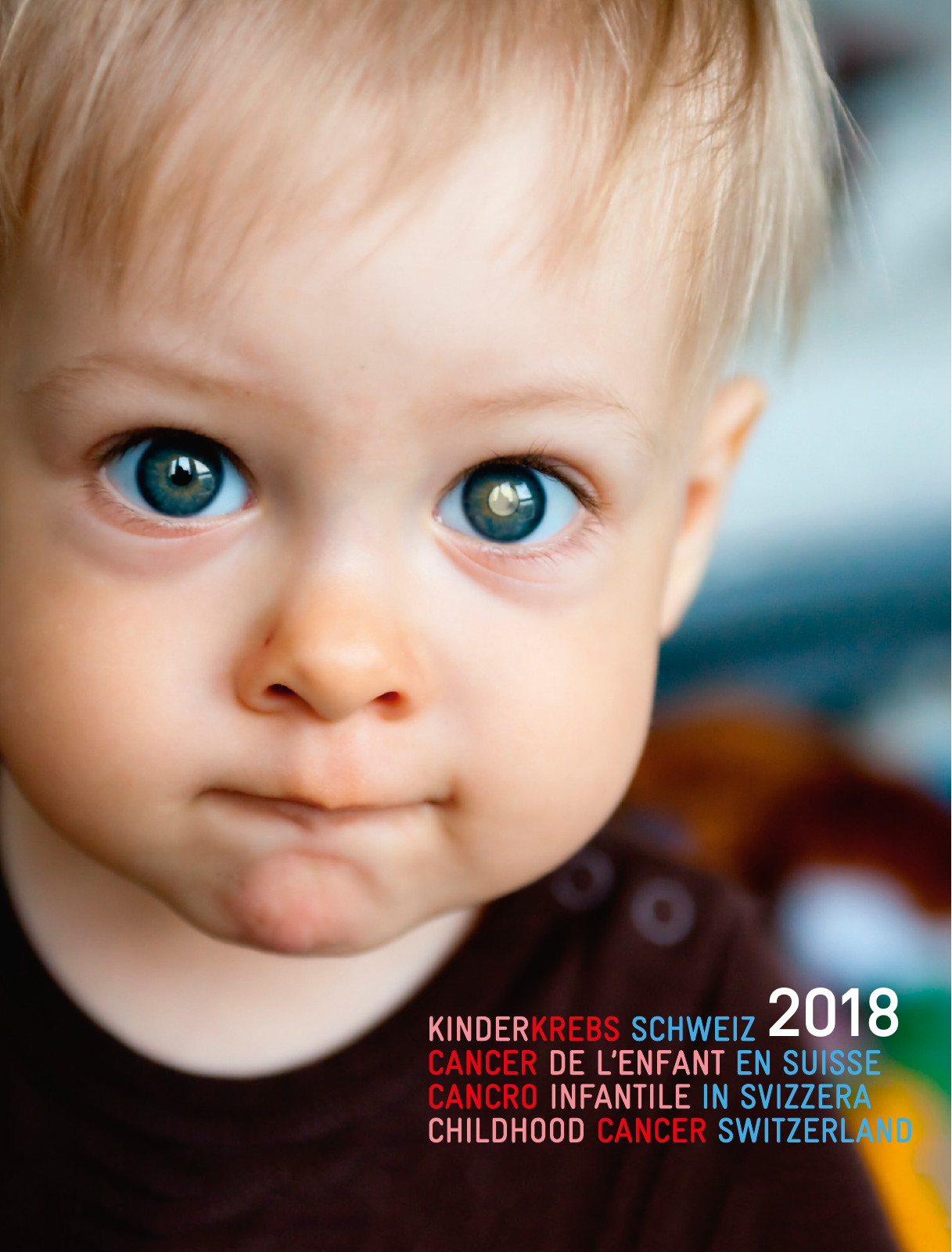 Vorschau Jahresbericht 2018_deutsch_links Seite 1
