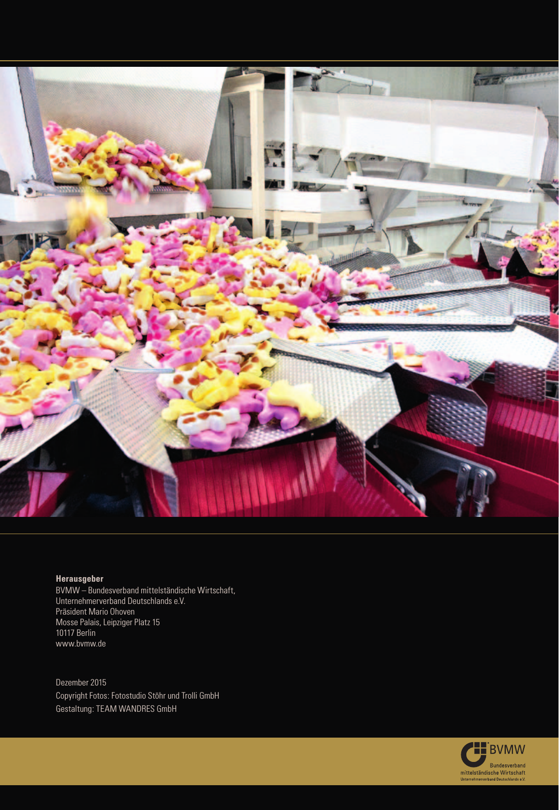 Vorschau 6|2015 BWS-Beileger Herbert Mederer Seite 8