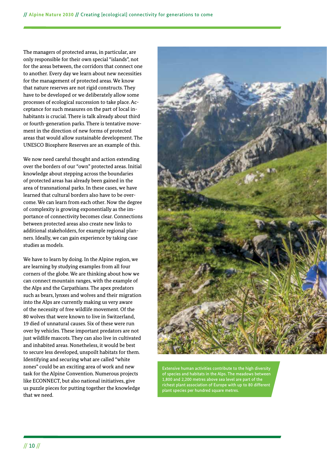 Vorschau Alpine Nature 2030 Seite 10