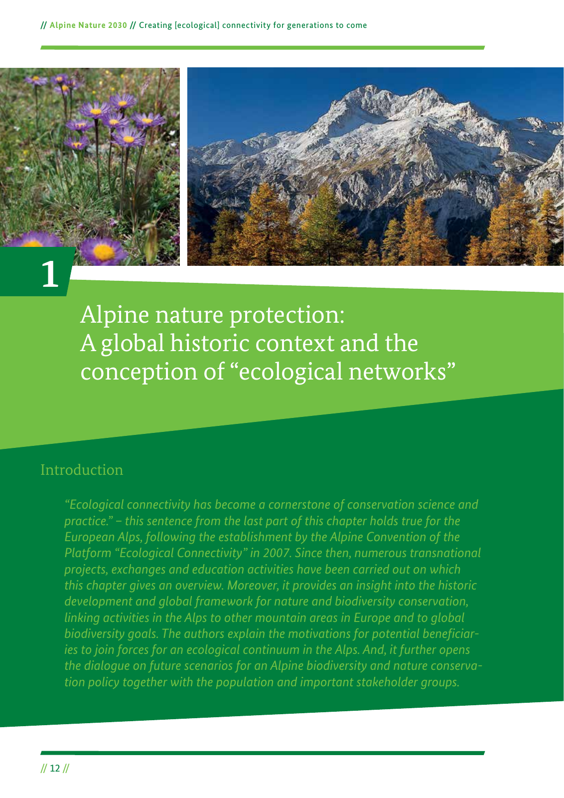Vorschau Alpine Nature 2030 Seite 12