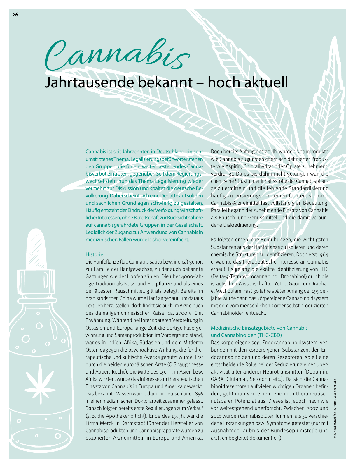 Vorschau Gesundheit 2022 Seite 26