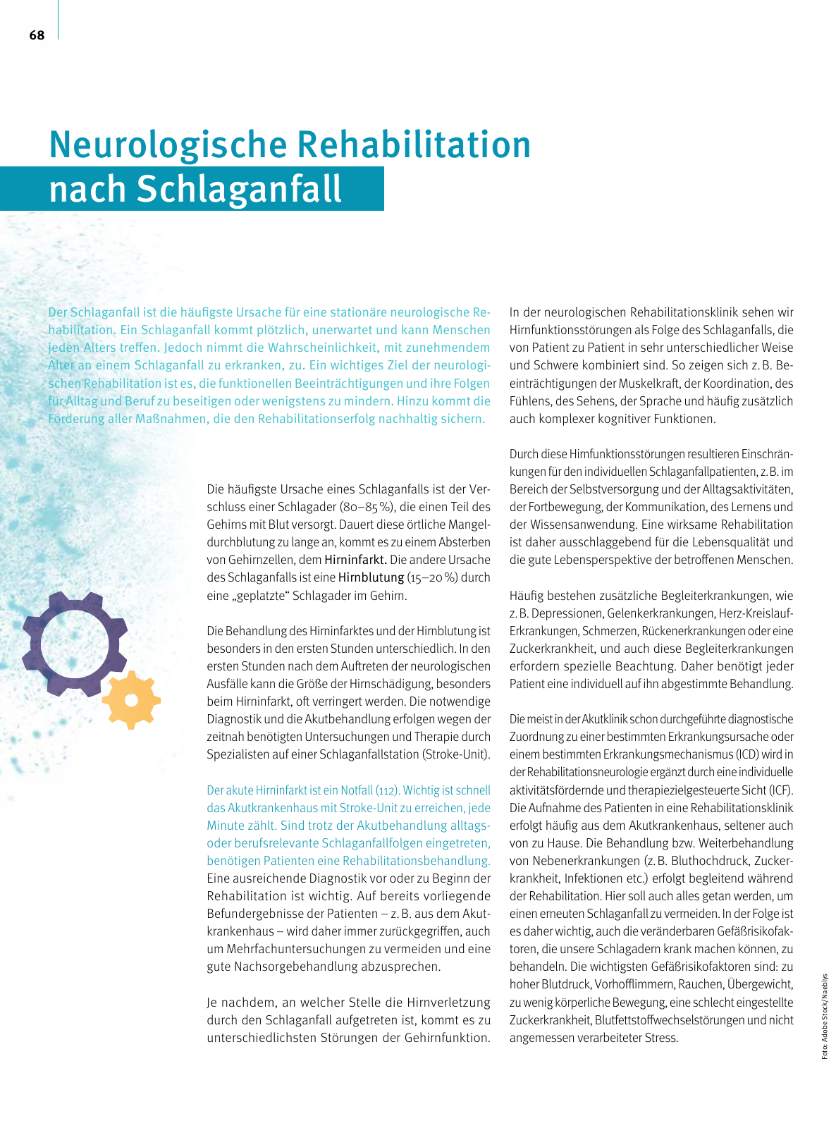 Vorschau Gesundheit 2022 Seite 68