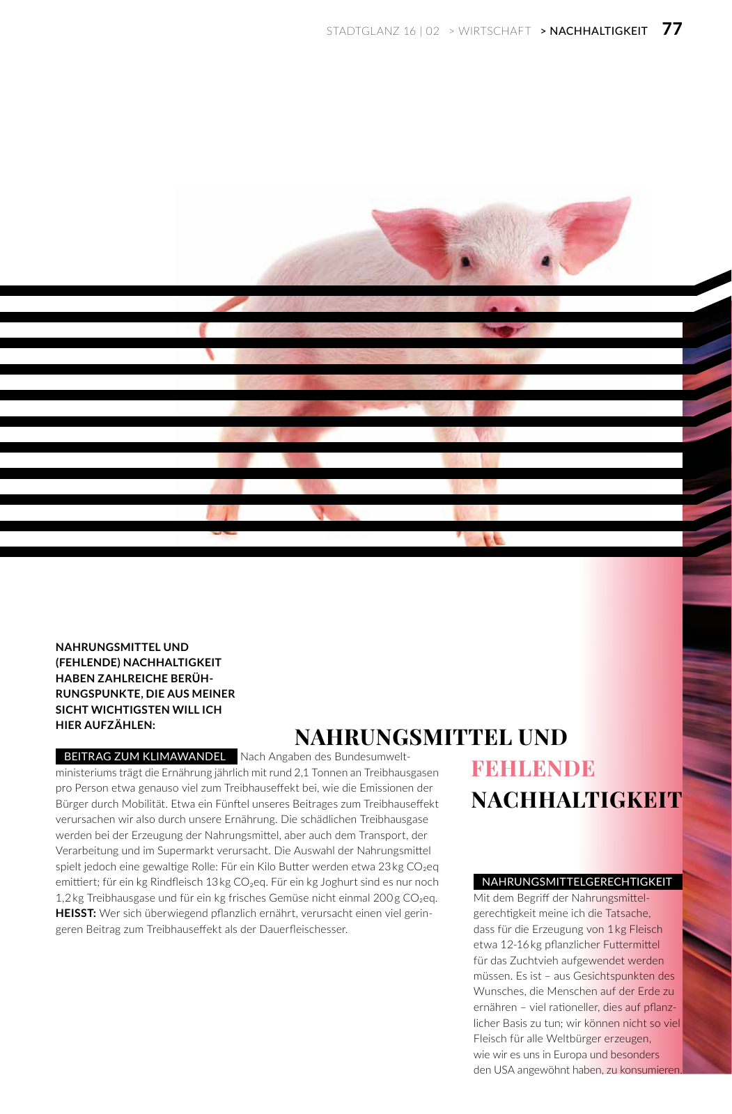 Vorschau Stadtglanz 16|02 Seite 77